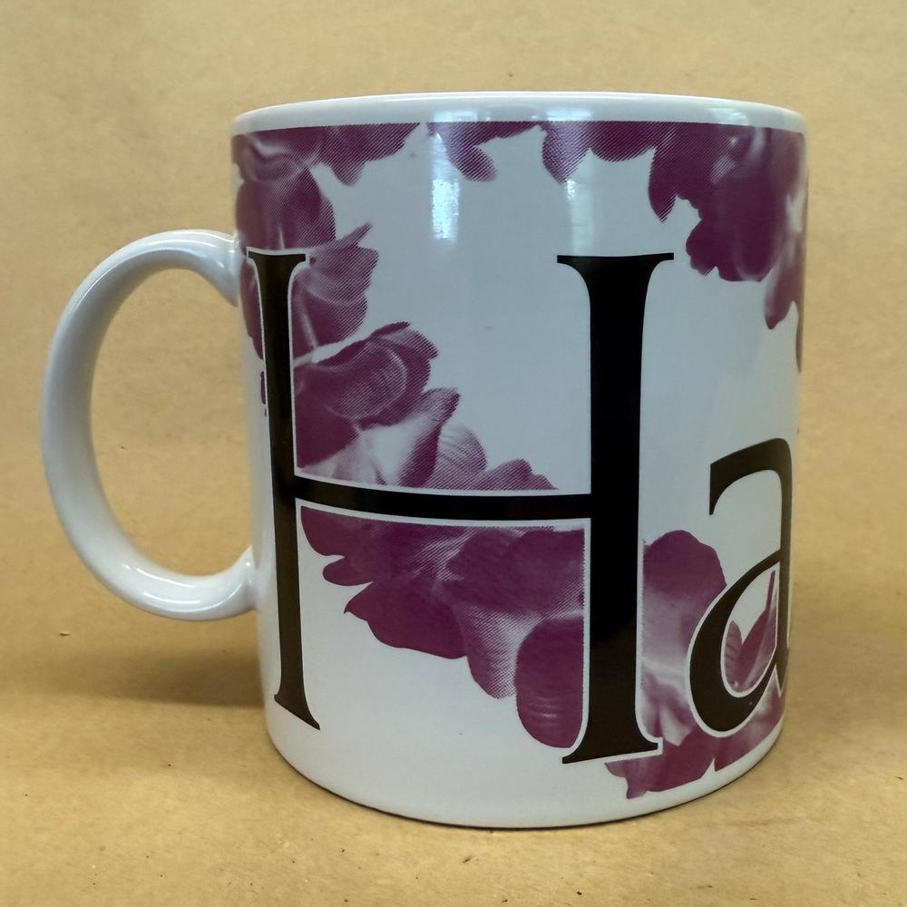 Starbucks City Mug Series Hawaii Mug NIB-1994